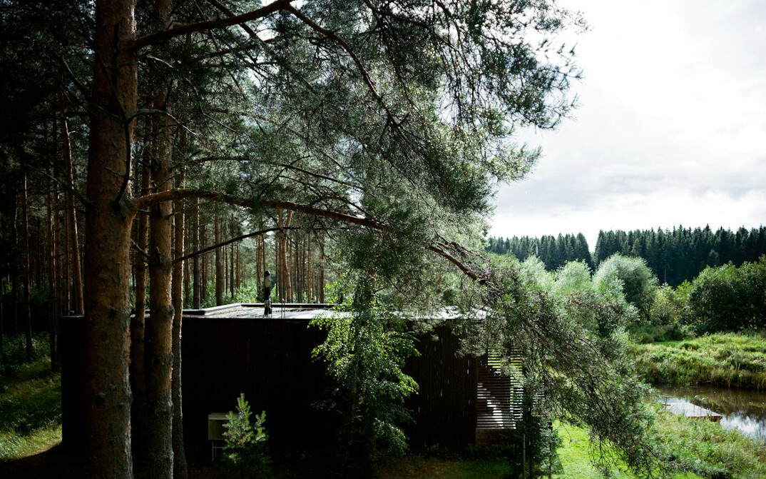 Contemporary concrete villa surrounded by pine forest
